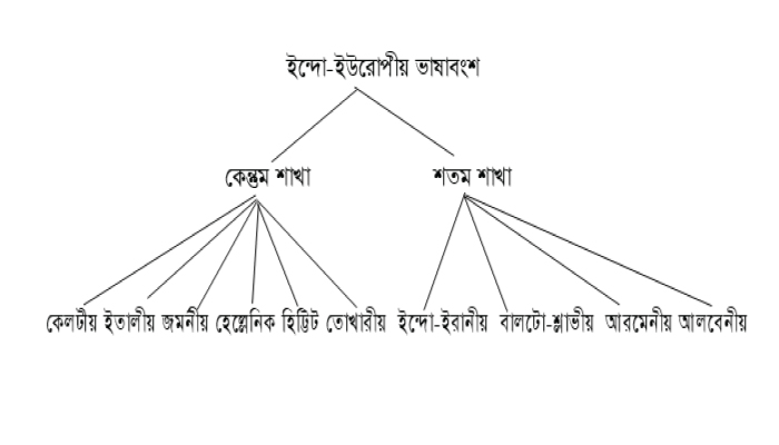 নব্য ভারতীয় আর্য ভাষা ও তার পরিচয়