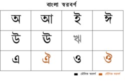 বাংলা স্বরধ্বনি- শ্রেণিবিন্যাস