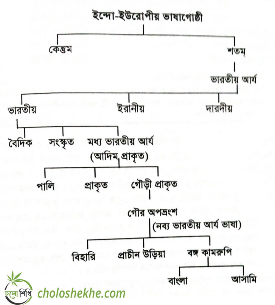 ব্যাবহারিক বাংলা ও ভাষার ইতিহাস