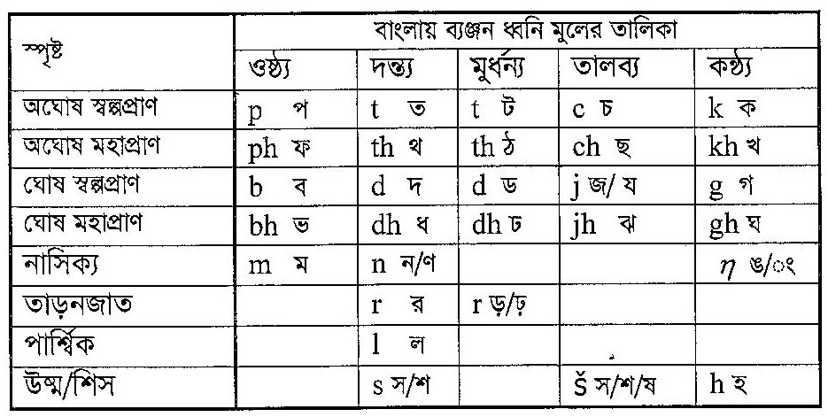 ব্যঞ্জনধ্বনির শ্রেণিবিন্যাস