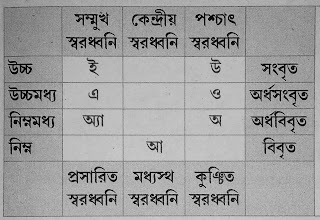 স্বরধ্বনির সংজ্ঞা ও বিচার