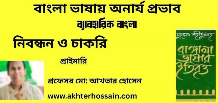 অনার্য প্রভাব