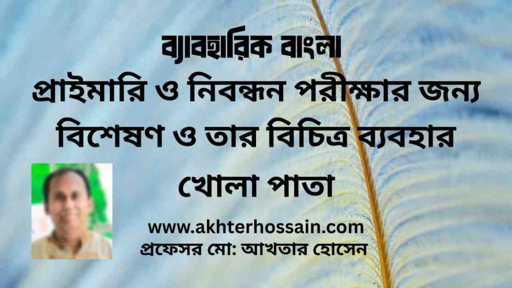 বিশেষণ পদ